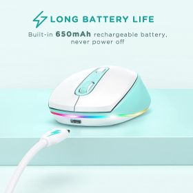 Wireless Mouse Rechargeable Quiet Click LED Rainbow Lights (Color: White Blue)
